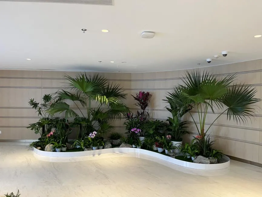 镇海花木租摆方案